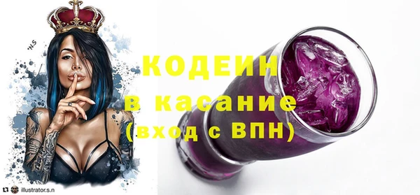 индика Медвежьегорск