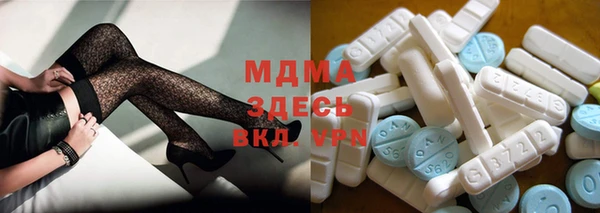 индика Медвежьегорск