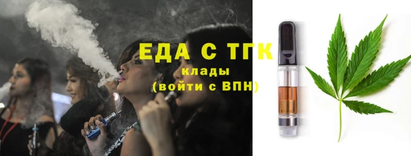 индика Медвежьегорск