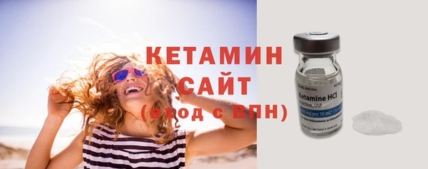 индика Медвежьегорск