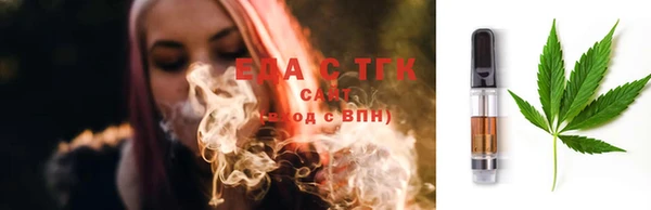 индика Медвежьегорск