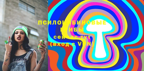 индика Медвежьегорск