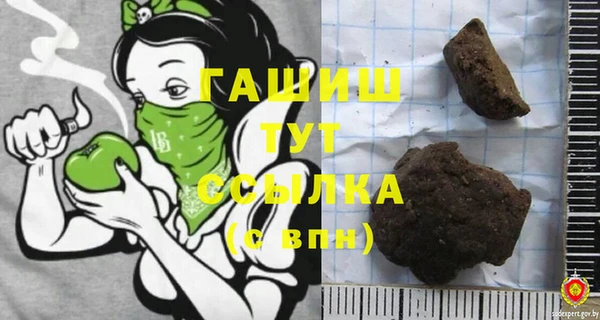 индика Медвежьегорск
