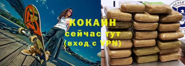 индика Медвежьегорск