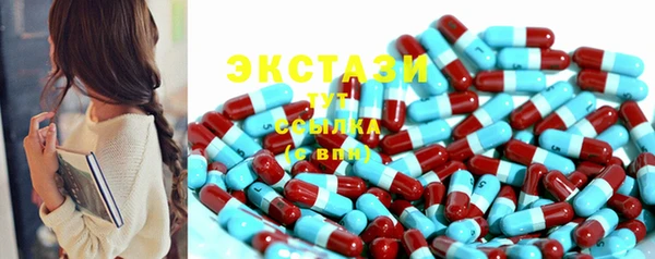 индика Медвежьегорск