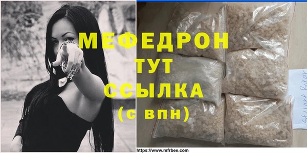 индика Медвежьегорск