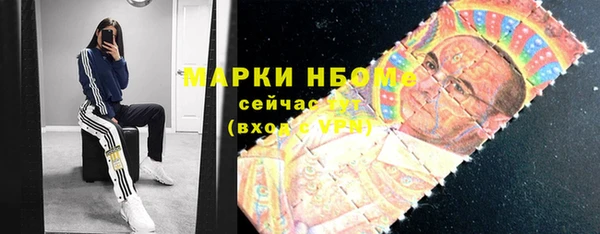 индика Медвежьегорск