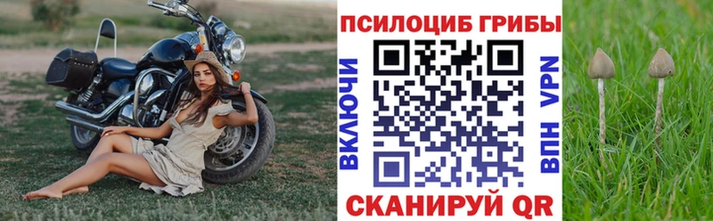 Галлюциногенные грибы мицелий  купить наркотики цена  Мосальск 
